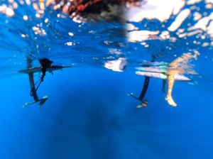 Photos of Wingfoiling Tenerife